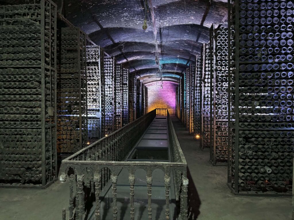 Study begins of unique collection of alcoholic beverages held in enoteca of Wine Factory No. 1
