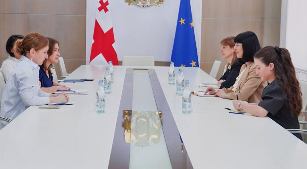 State Minister for Reconciliation holds introductory meeting with UNHCR Representative to Georgia