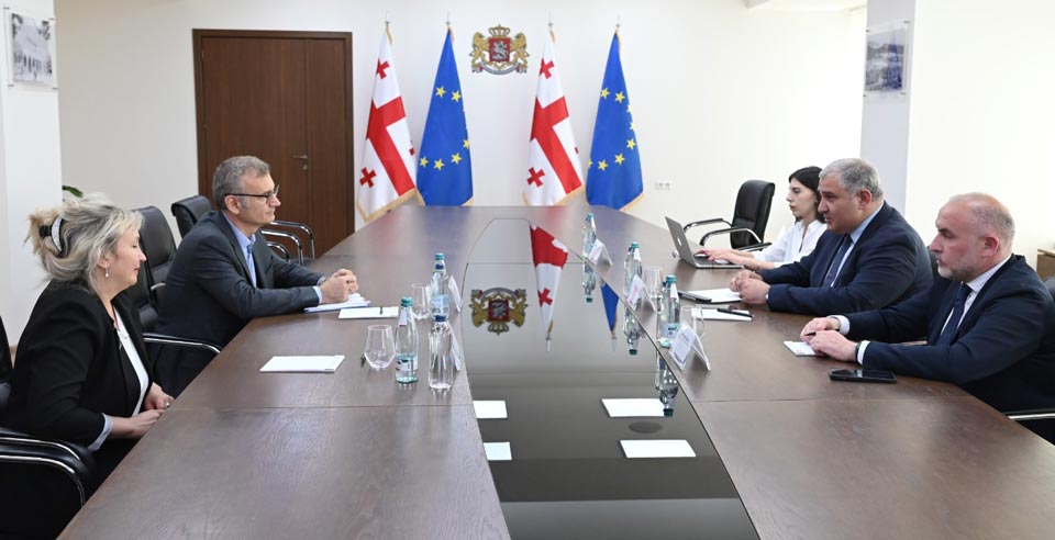Mixeil Sarcveladze Qlobal Fondun Regional Proqramlar üzrə direktoru Dumitru Latiçevski ilə görüşüb