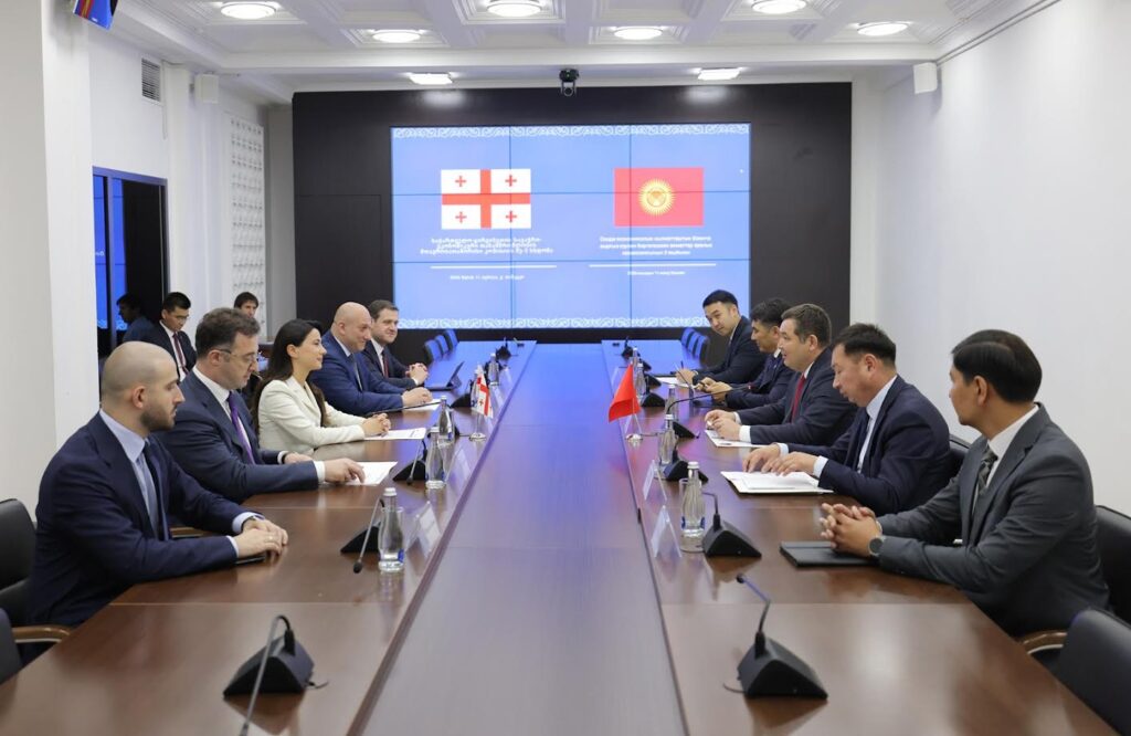 Economy Minister discusses strengthening trade and economic cooperation with Kyrgyz Minister of Economy