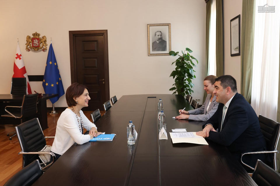 Georgian Parliament Speaker meets newly appointed UNICEF Representative to Georgia