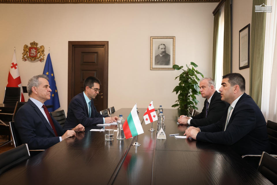 Speaker Papuashvili holds farewell meeting with Bulgarian Ambassador