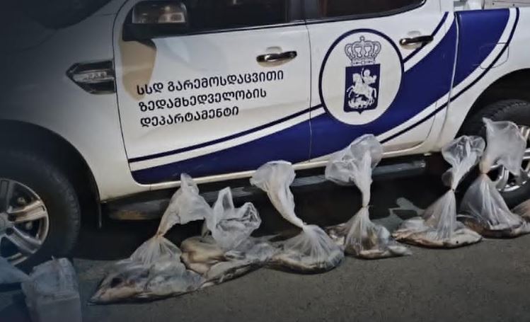 Ətraf Mühitin Mühafizəsinə Nəzarət Departamenti Tbilisidə brakonyerlik faktını aşkar edib