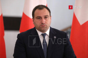 GD’s Kirtskhalia: Whenever discussions begin about peace, reconciliation between Georgians and Abkhaz, agent network becomes active