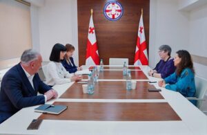 State Minister Akhvlediani meets new ICRC delegation Head and Missing Persons Envoy
