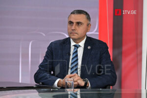 MP Matikashvili: European institutions ignore Georgian people’s choices, they fill resolutions on Georgia with lies