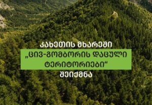 New Tsiv-Gombori Protected Area established to boost ecotourism and biodiversity in Kakheti