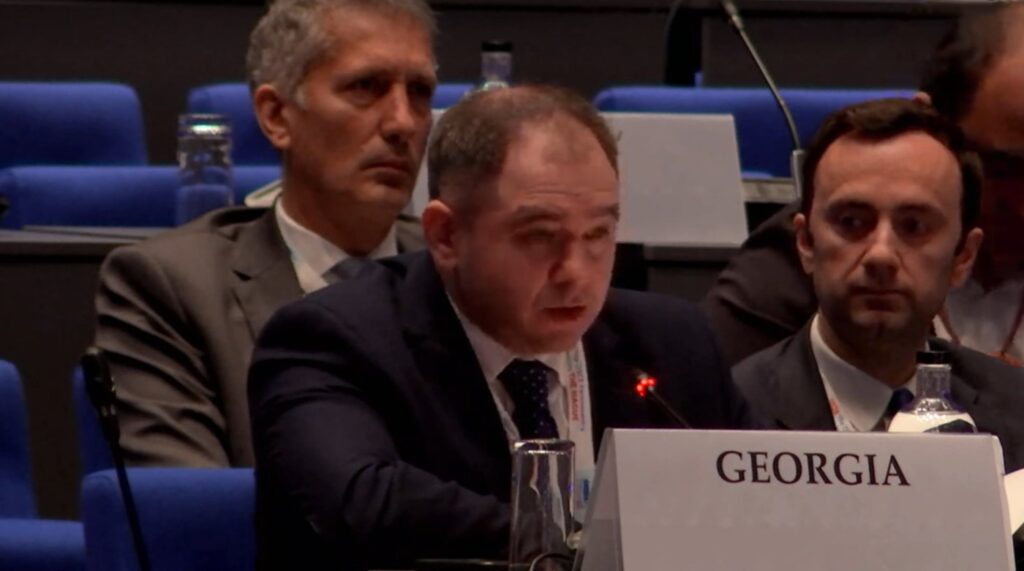 MP Samkharadze: We strongly condemn so-called agreement concluded this May between Russia and so-called South Ossetia