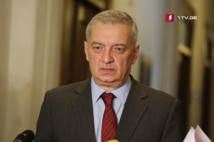 First Vice Speaker: Alliance members invited to NATO Summit, partner countries to participate in MSC