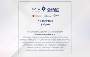 Мака Бочъоришвили хайад райсдзæн мадзалы «Æмцæдисонтæ Анкарайы» , кæцы Турчы 7-8 июлы сырæздзæн