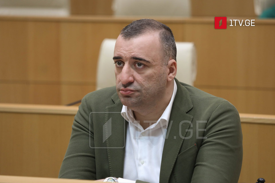 MP Rati Ionatamishvili: GD stands beyond reproach before any international body; such resolutions only deface OSCE’s own image