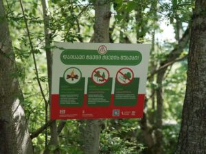 National Forestry Agency urges extreme caution as rising temperatures heighten wildfire risk