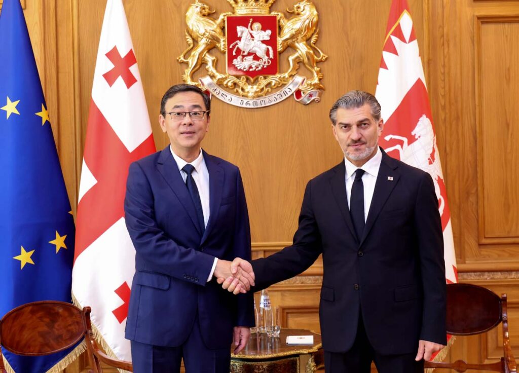 Georgian President holds farewell meeting with Chinese Ambassador