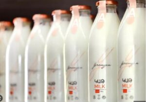Россия запретила импорт молочной продукции из Армении