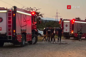 На складе в селе Насагури Самгорского района Тбилиси произошел пожар