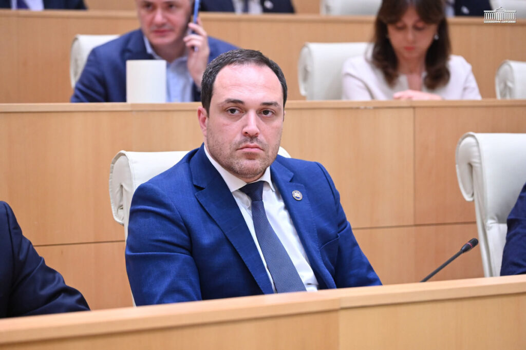 MP Giorgi Gabunia: Best candidate to be chosen as Culture Minister