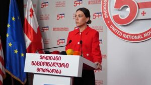 Աննա Ծիթլիձեն հայտարարում է, որ Թինա Բոկուչավան չի մասնակցում քաղխորհրդի նիստին, քանի որ, իր տեղեկություններով, Թբիլիսիում չէ