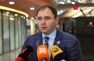 MP Nikoloz Samkharadze: Every Georgian citizen holds right to vote; constitutional lawsuit is doomed to fail