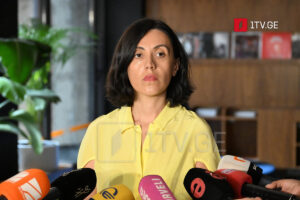UNM’s Ana Tsitlidze responds to Tina Bokuchava: Politician must be able to leave with dignity