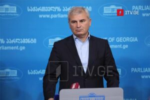 MP Irakli Kadagishvili: Our government allowed no one to repeat 2008 tragedy; Georgia maintaining peace is ‘pro-Russian’ for them