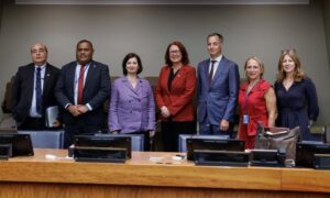 Georgia’s geospatial information reforms featured at UN Global Session
