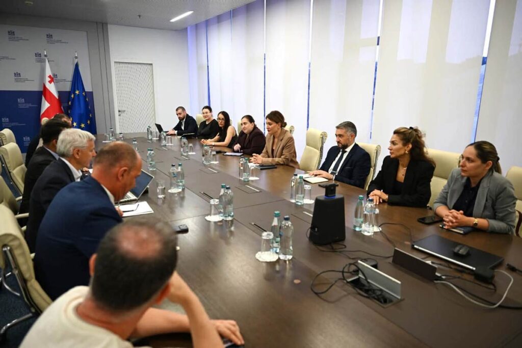 Deputy Economy Minister meets representatives of international consultancy conducting feasibility study for new Tbilisi airport
