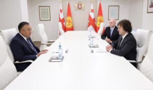 Ираклий Кобахидзе встретился с министром внутренних дел Кыргызстана