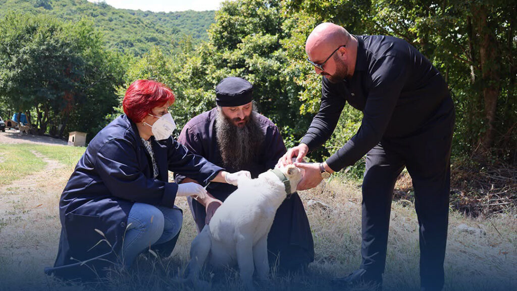 Milli Qida Agentliyi – bölgələrdə sahibli itlərin qapı-qapı prinsipi ilə pulsuz çiplənməsi və peyvəndlənməsinə başlanılıb
