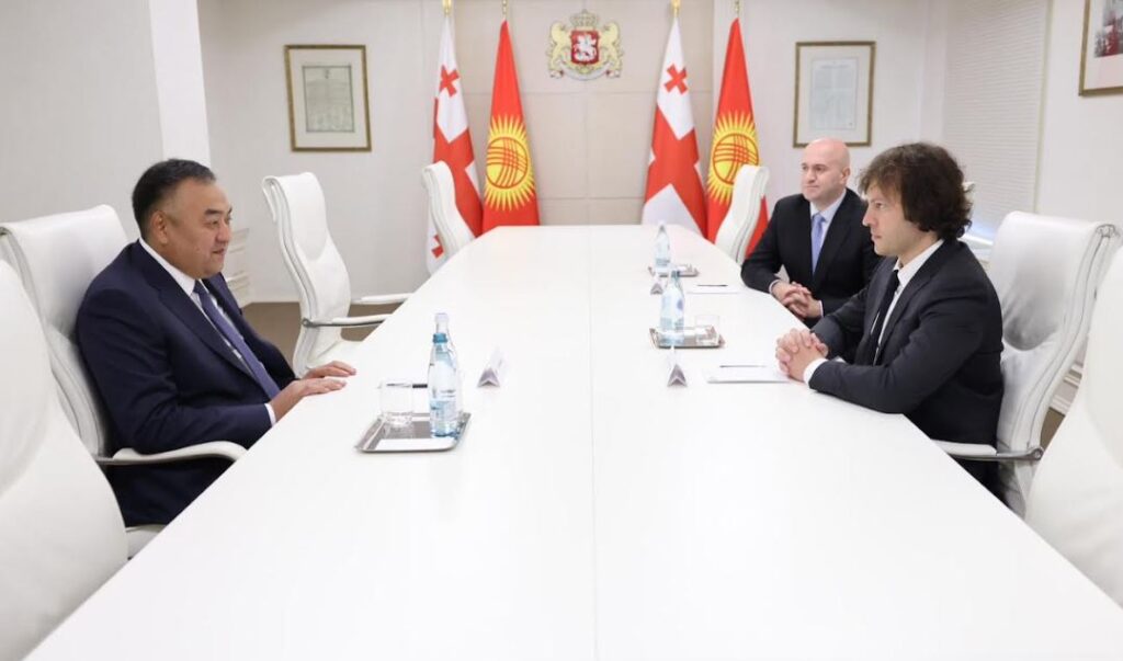 İrakli Kobaxidze Qırğızıstan Respublikasının daxili işlər naziri ilə görüşüb