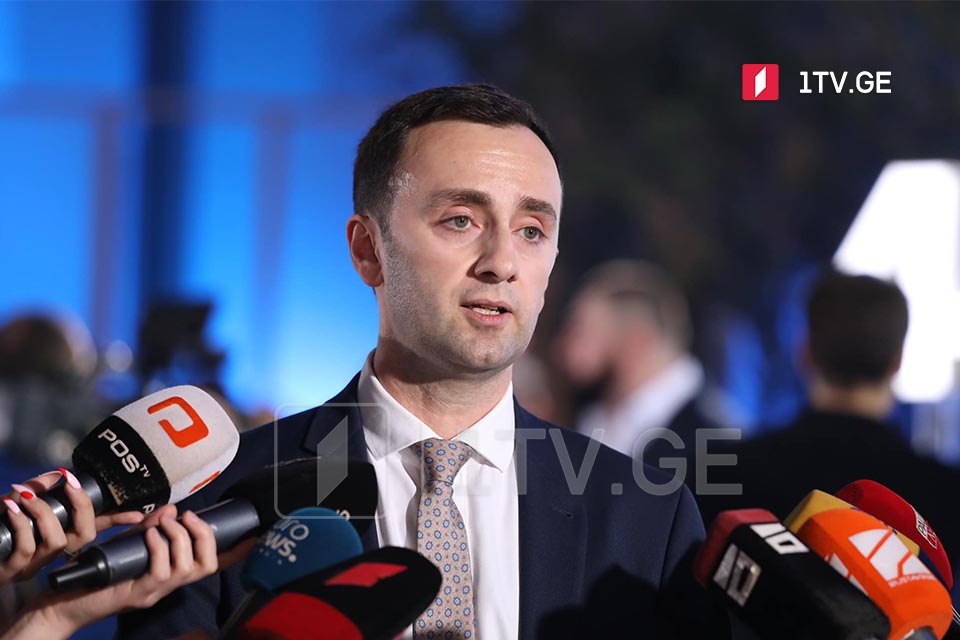 MP Makhashvili: Marta Kos should arrive in Georgia, visit occupation line and see what risks country faces