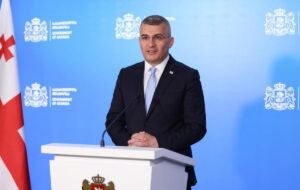 Mamuka Mdinaradze says he could try his luck in business