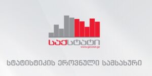 Criminal proceedings launched against 2,861 individuals in July, reports GeoStat