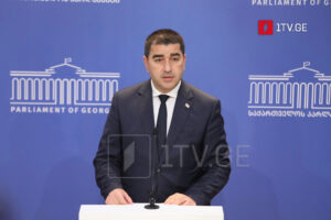 Shalva Papuashvili: A few hundred individuals exploit tragedies like parasites to politicise everything