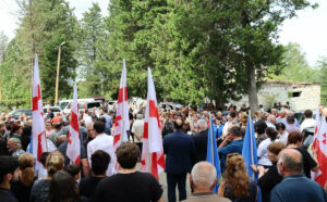 Georgian Dream presents majoritarian council candidates in four municipalities