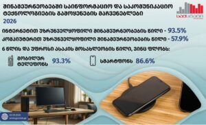 GeoStat: Internet coverage hits 93.5% across Georgian households, peaking at 99.6% among youth
