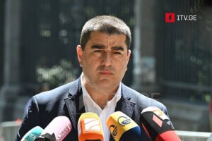 Speaker: Campaign underway to surrender Georgian territories to Russia; we will trade territorial integrity for no other pursuit