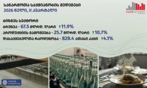 Business sector turnover rises 11.9% to GEL 67.5 billion in Q2, Geostat says