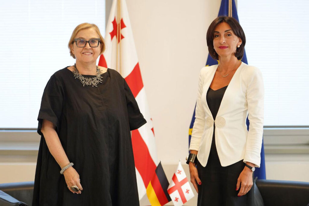 Georgian FM holds introductory meeting with German Ambassador