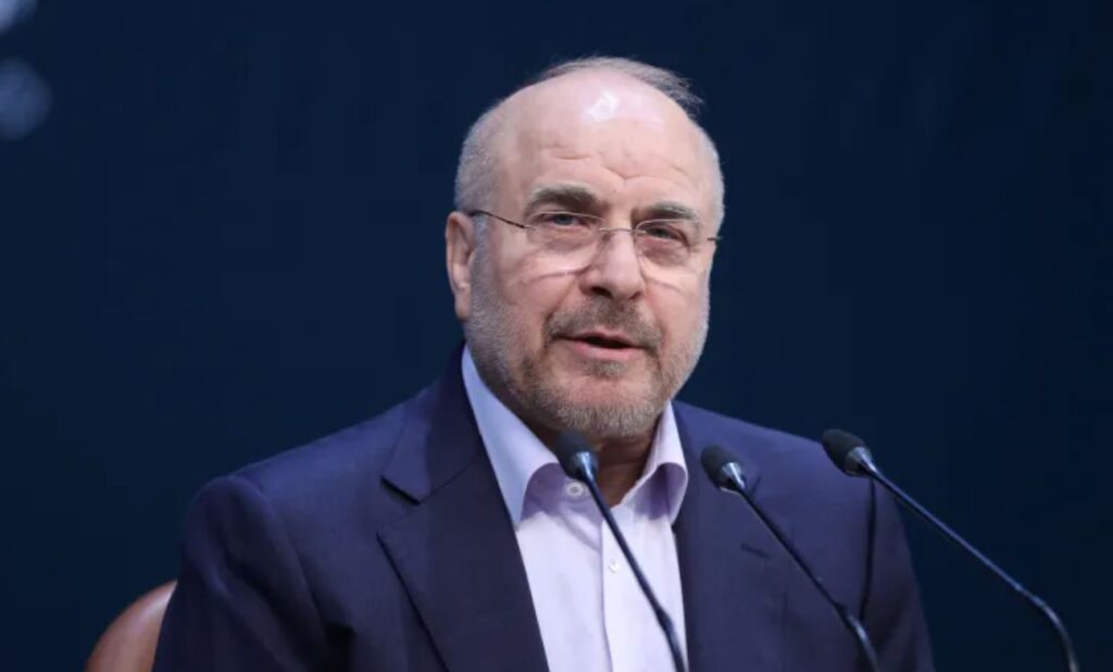 Իրանի խորհրդարանի խոսնակ. Չինաստանի կողմից ընդհանուր անվտանգության խթանման վրա շեշտը արտացոլում է այն սկզբունքը, որը Իրանը վաղուց է դավանում. տարածաշրջանի երկրները պետք է իրենց ապագան իրենց ձեռքը վերցնեն