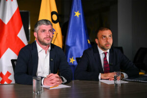 “Сильная Грузия-Лело” – Руководство партии провело рабочую встречу с эмигрантами, проживающими в странах Европы