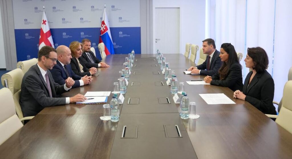 Մարիամ Քվրիվիշվիլին հանդիպել է Սլովակիայի Հանրապետության զբոսաշրջության և սպորտի նախարար Ռուդոլֆ Հուլյակի հետ