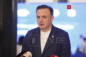 MP Zarkua: Just as Nika Gvaramia can never become Merab Kostava, Ana Tsitlidze can never be a politician without her paramount leader