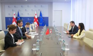 Մարիամ Քվրիվիշվիլին հանդիպել է Վրաստանում Թուրքիայի դեսպան Մուստաֆա Թուրքերի հետ