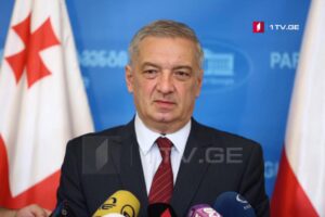 Vice Speaker Volski: UNM’s objective remains unchanged; their sole mission is to sabotage Georgia