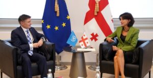 Georgian FM meets UN Resident Coordinator Didier Trebucq