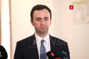 MP Levan Makhashvili: At the UN, the Prime Minister clearly stated that Georgia will cooperate with all who respect the principle of equality