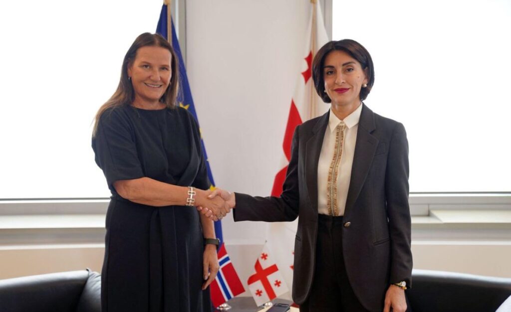 FM Botchorishvili meets newly appointed Norwegian Ambassador to Georgia