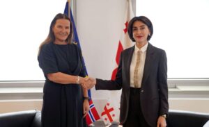 FM Botchorishvili meets newly appointed Norwegian Ambassador to Georgia