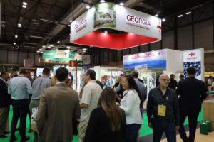 Georgia participates in international exhibition in Madrid