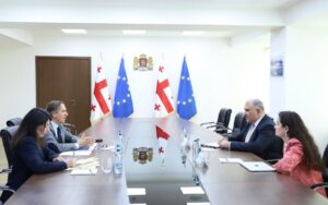 Georgian Health Minister holds talks with WHO representative Joao Breda